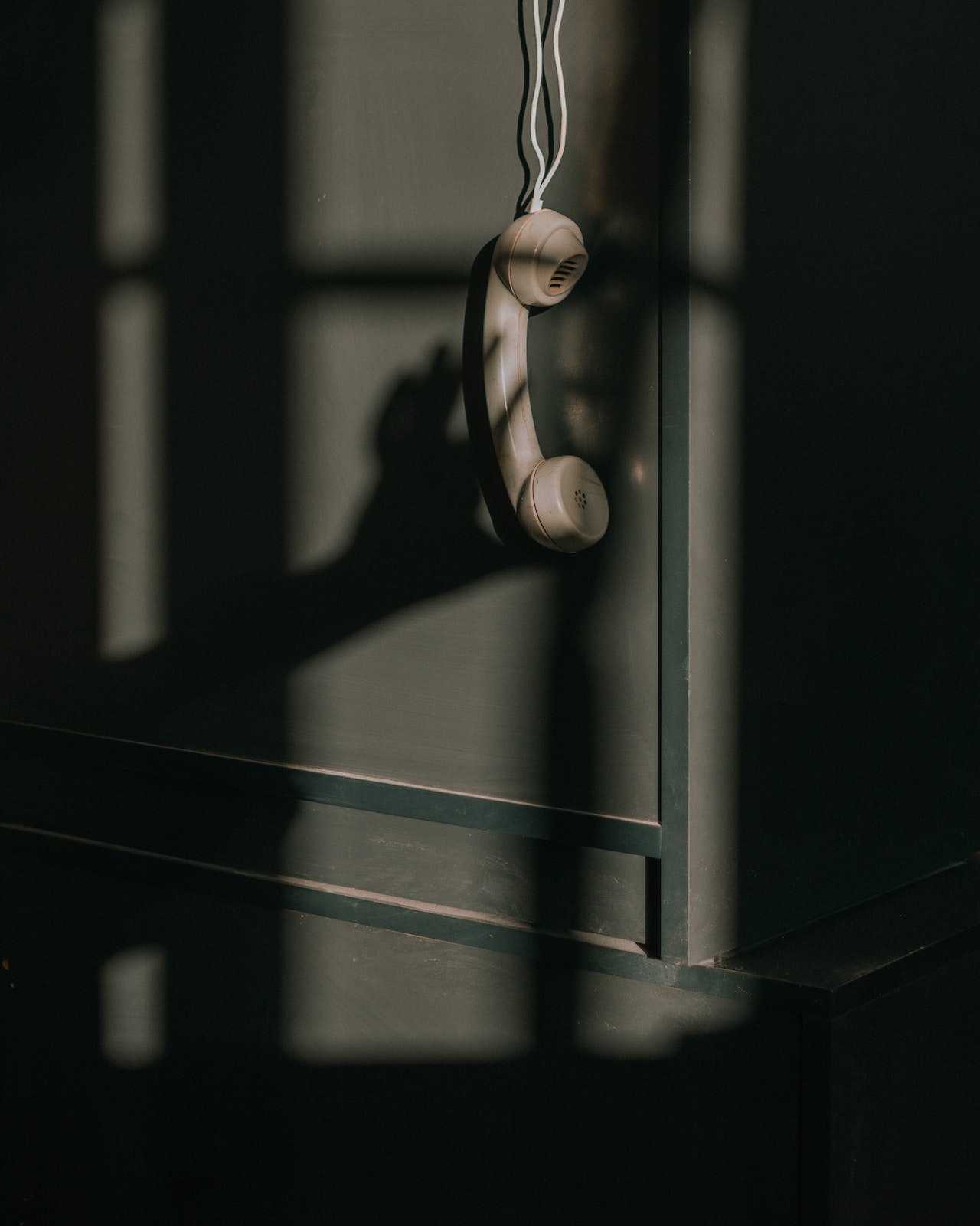 Become a Lifeline Volunteer