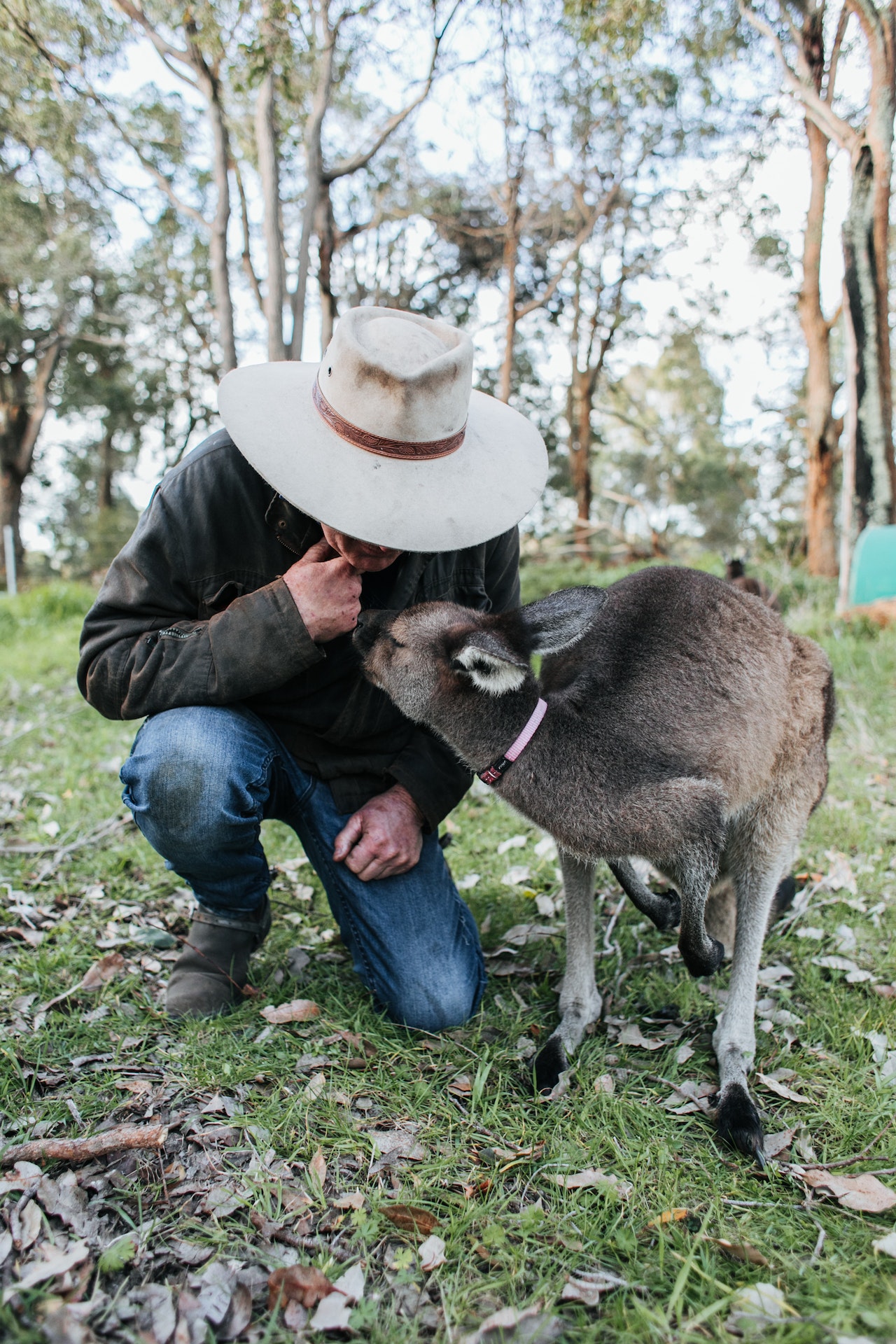 Wyee Point Reserve Landcare