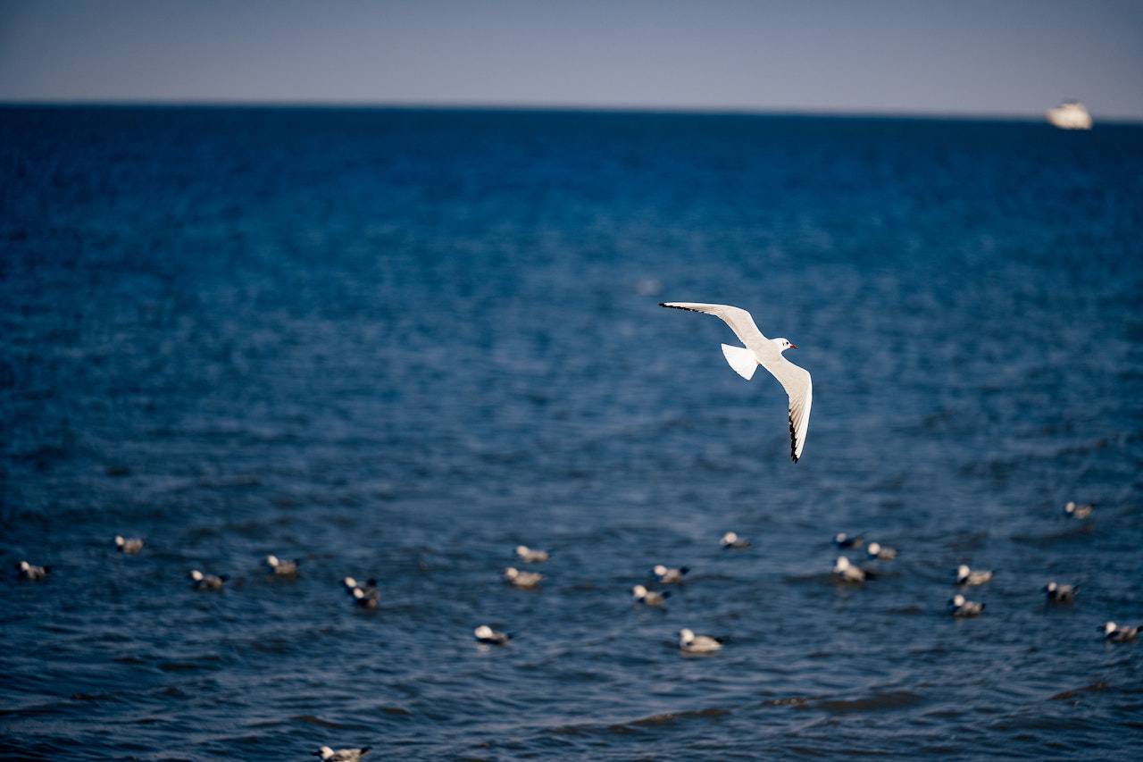 Bolton Point Fishing Platform