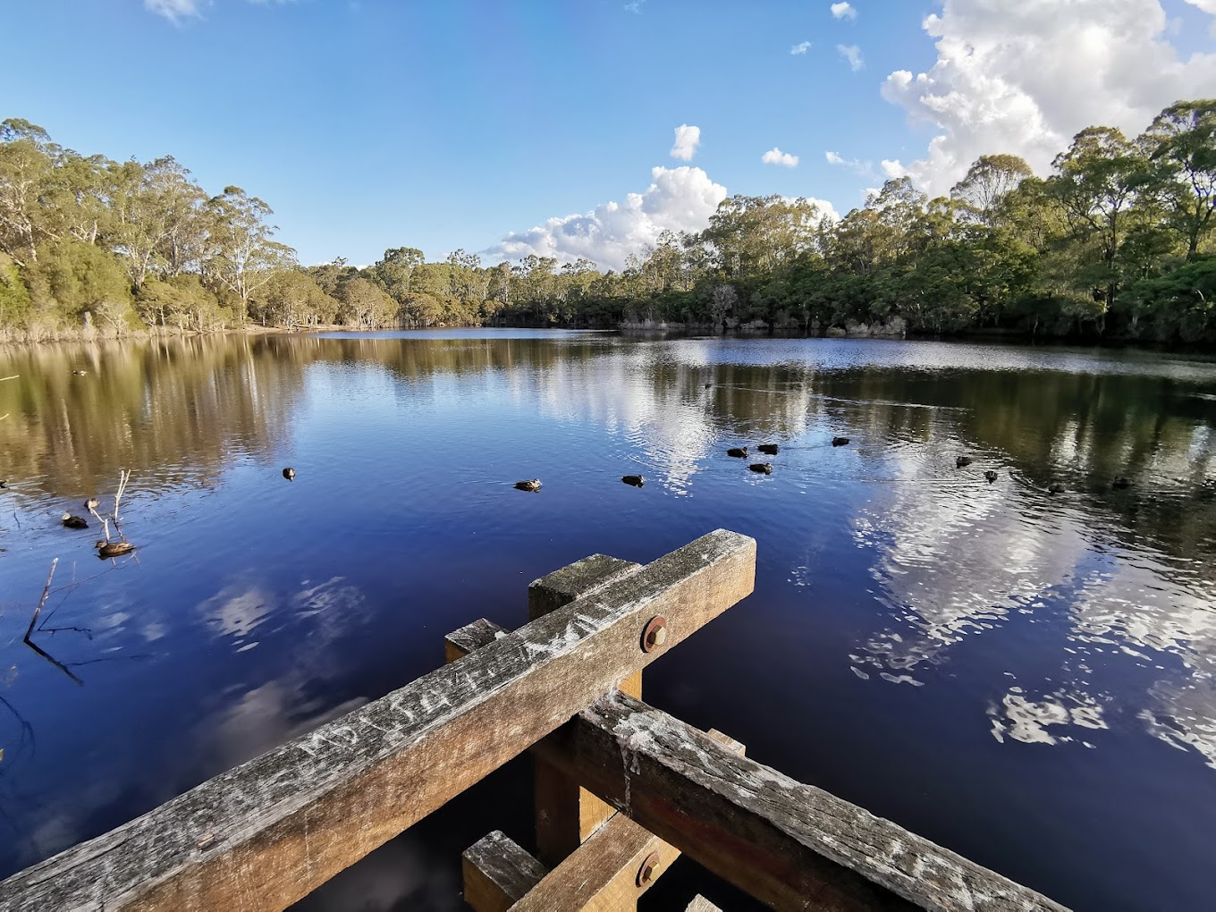 Kitchener Dam Nature Trail