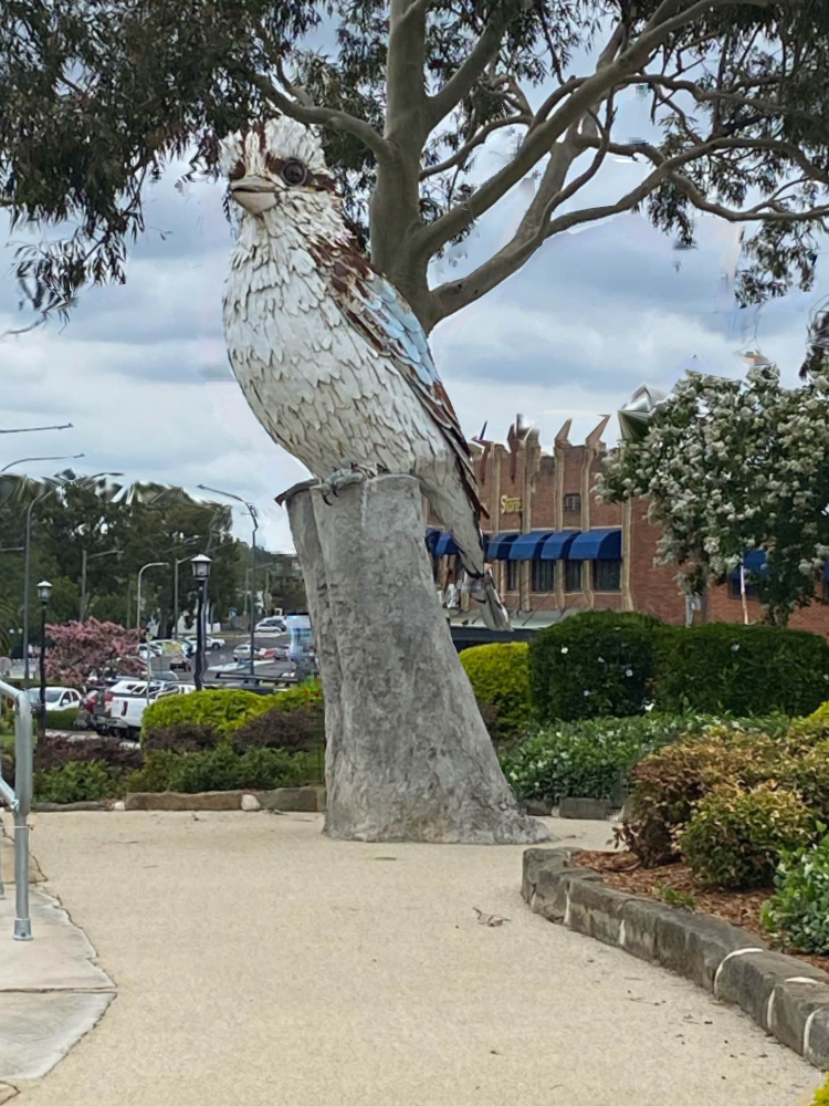 Giant Kookaburra Kurri Kurri